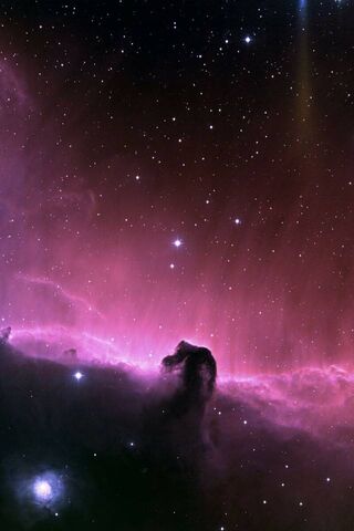 星雲の馬