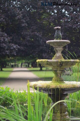 Whispers of Serenity: The Enchanted Fountain