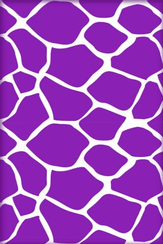 Vibrant Wild Patterns