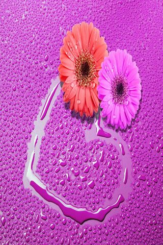 Blooming Affection 🌸💖