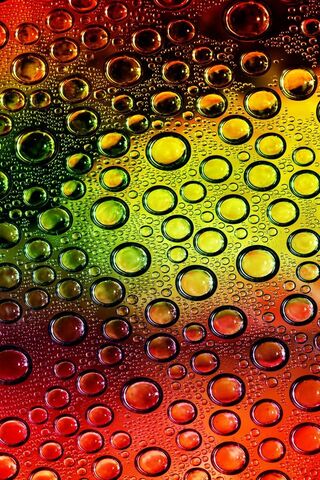 Colorful Waterdrops: Nature's Artistry 🌈💧