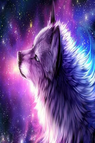 Beautiful Wolf