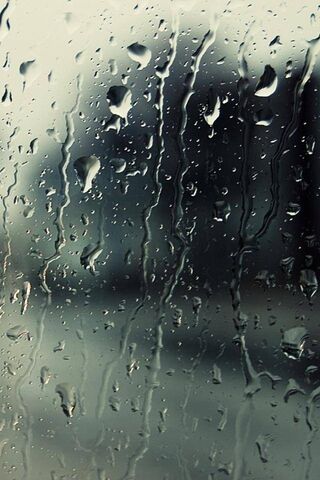 Raindrop Symphony: Nature's Melodic Canvas 🌧️🎶