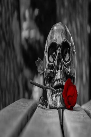 Eternal Love: The Rose and the Skull 🌹💀