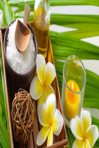 Tranquil Zen Retreat 🌿✨