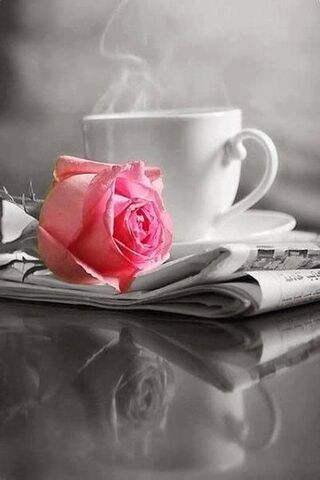 Morning Bliss: A Pink R..