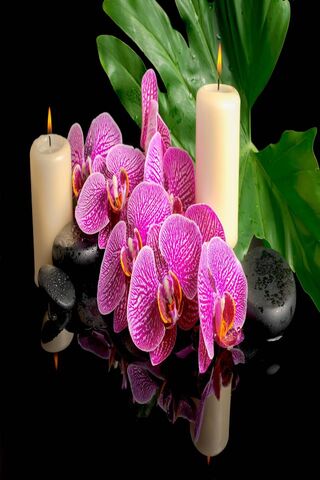 Zen Serenity: A Tranquil Oasis 🌸🕯️