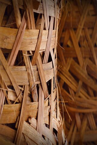 Moto-X: The Art of Weaving Nature