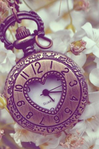 Timeless Love: The Heart of Time