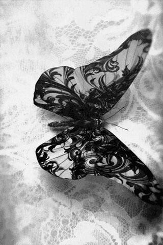 Whispers of Elegance: T..