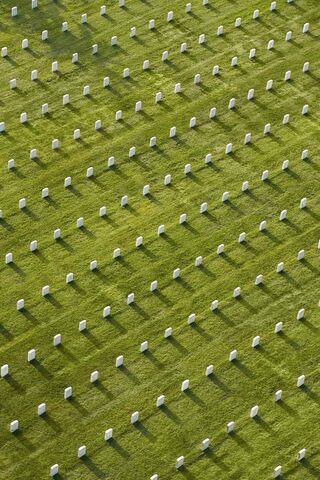 Fields of Remembrance 🌿