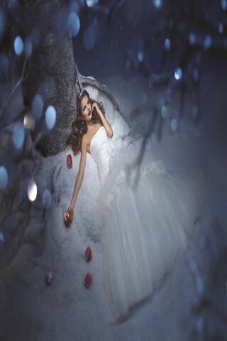 Enchanted Winter Bride ❄️👰