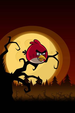 Fury in the Moonlight: The Angry Bird Awakens 🌕🐦