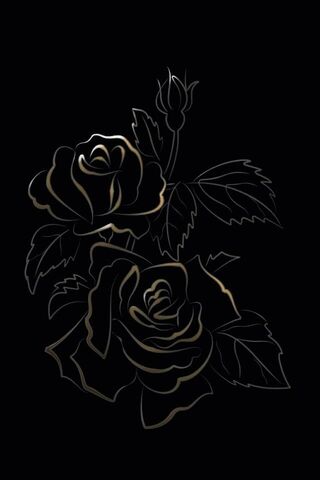 Elegant Shadows of Roses 🌹✨