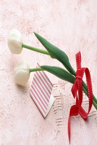 Elegance in Simplicity 🌷✨