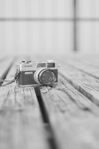 Capturing Moments: The Timeless Camera 📸