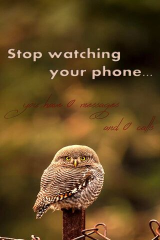 Stop Watching