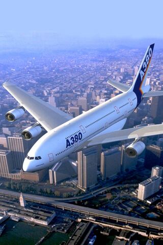 Soaring High: The Majes..