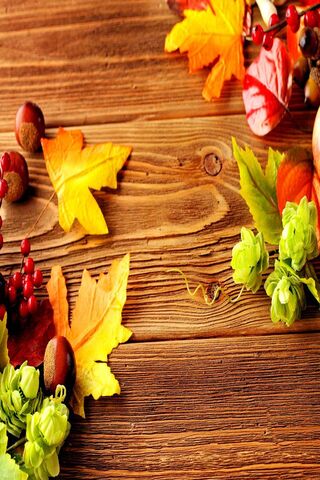 Harvest Harmony: Embracing Autumn's Beauty 🍂✨