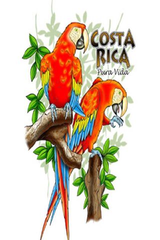 Vibrant Life of Costa Rica 🌿🦜