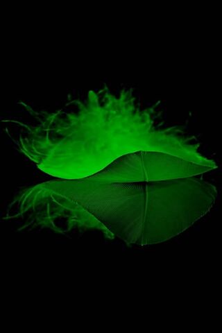 Emerald Elegance: The Enchanted Feather