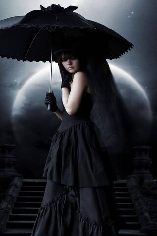 Shadows of Elegance: Th..