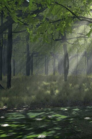 Whispers of the Forest 🌿✨