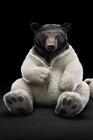 Cozy Bear: The Ultimate Cuddle Buddy 🐻✨