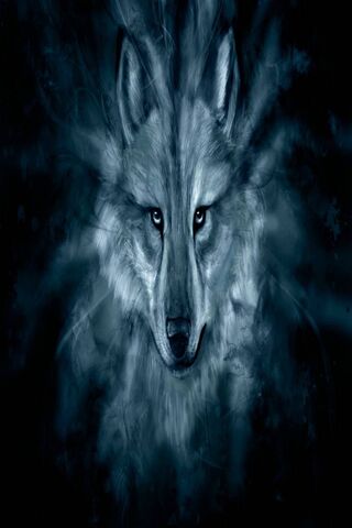 Beautiful Wolf Wallpaper - Download to your mobile from PHONEKY