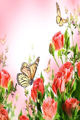 Whispers of Spring: A Floral Embrace 🌹🦋