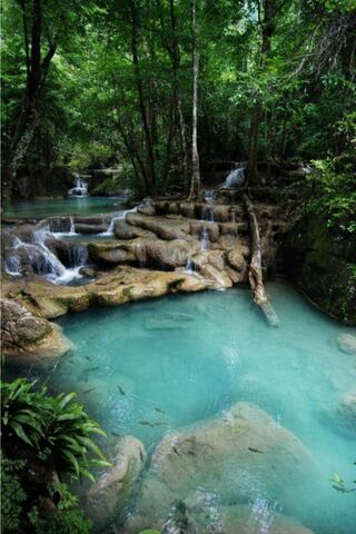 Tranquil Oasis: Nature'..