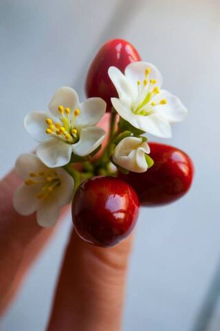 Nature's Delicate Charm 🌸🍒