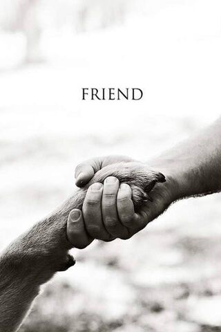 Paws and Hands: A Bond of Friendship 🐾🤝