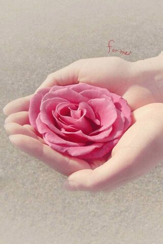 A Touch of Elegance: Th..