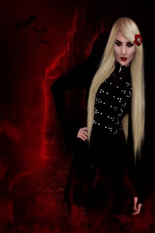 Enigmatic Elegance of the Night 🌙🦇