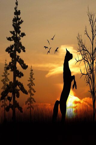 Majestic Horse at Sunse..