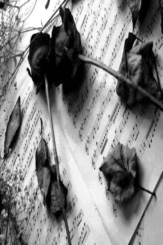Melodies of Mourning 🎶🌹