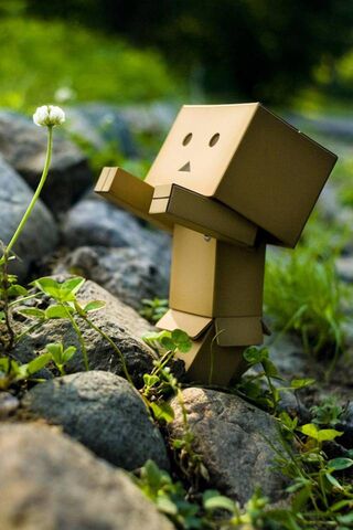 Danbo's Quest for Nature's Beauty 🌼