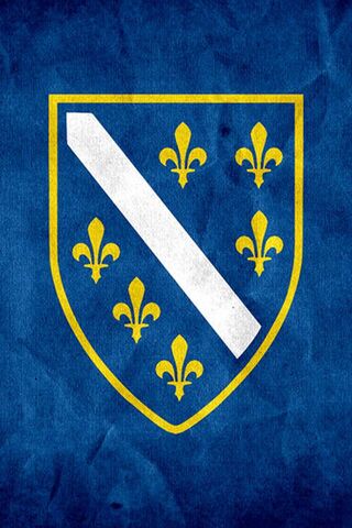 Heraldic Pride: The Bosnian Coat of Arms 🇧🇦