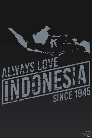 Celebrating Indonesia: A Love That Endures ❤️🇮🇩
