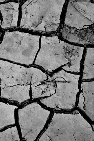 Dry Land