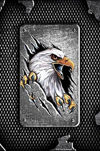 Aigle Unleashed: The Spirit of the Eagle 🦅