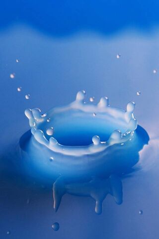 Ripples of Serenity: The Art of Water Drops 💧✨