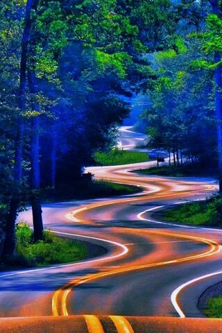 Twists and Turns of Adventure 🌲🚗