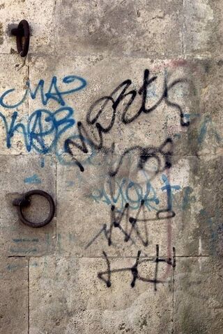 Urban Elegance: The Art of Graffiti