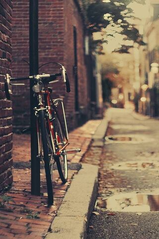 Urban Serenity: A Bike'..