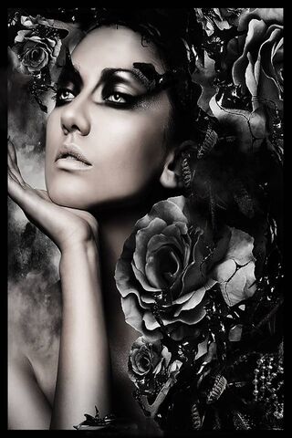 Enigmatic Elegance 🌹✨