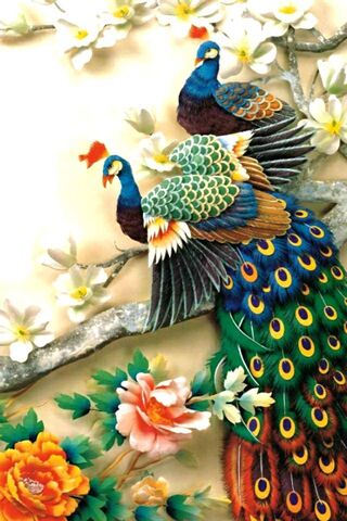 Peacocks