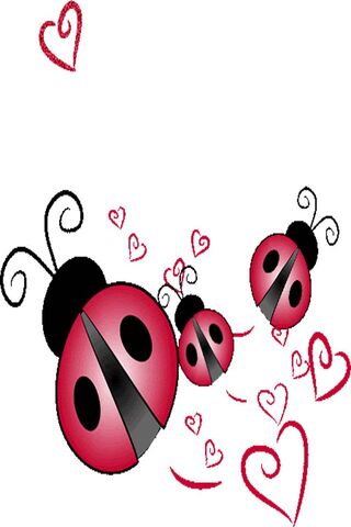 Love in the Air: Ladybug Romance ❤️🐞