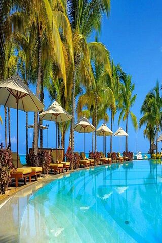 Tropical Bliss at Paradise Resort 🌴🏖️